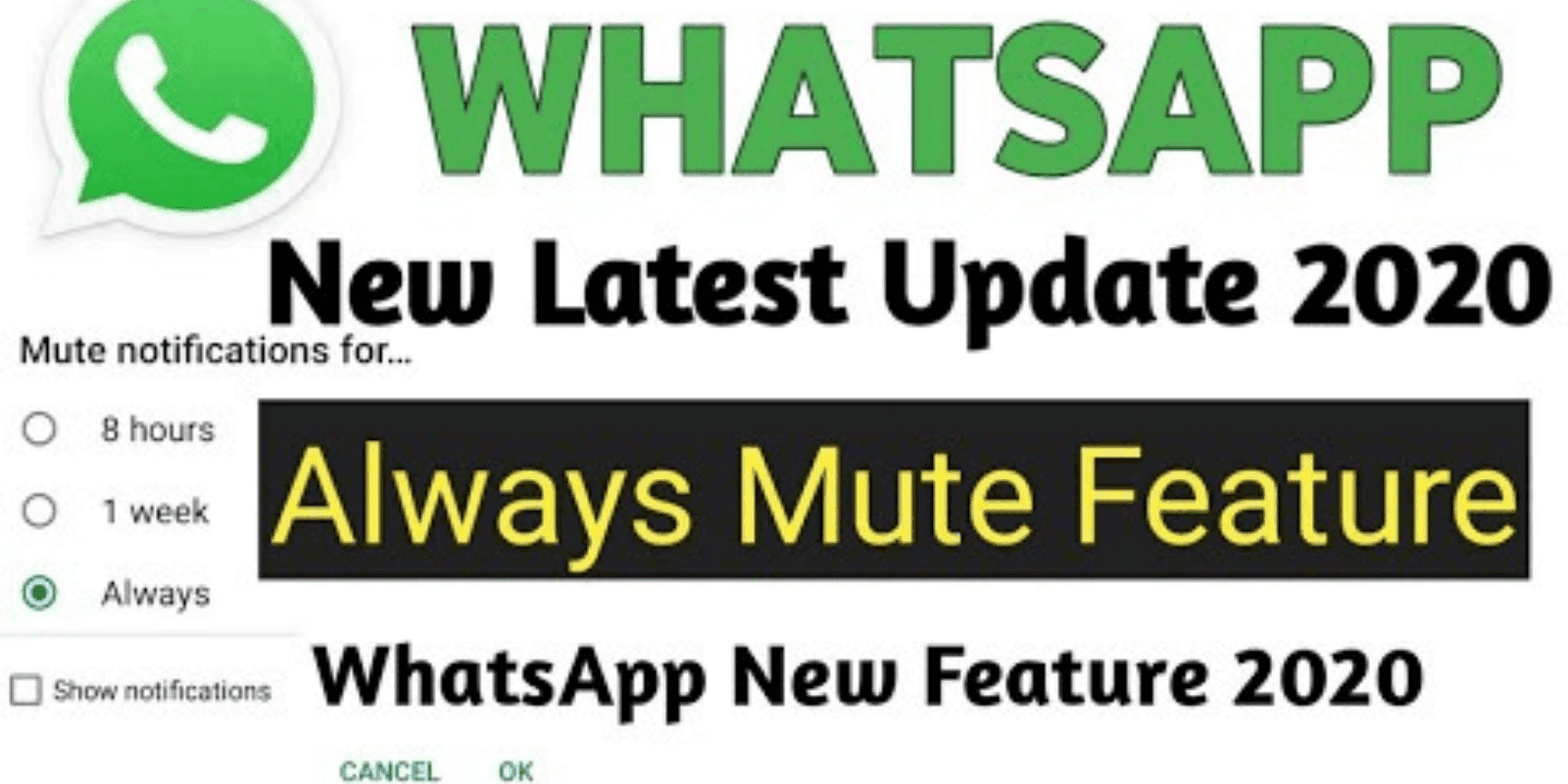 How to Enable WhatsApp Always Mute option (latest)